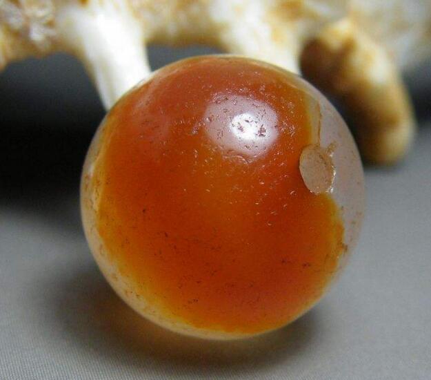 武则天身边的这颗晴雨珠,据传是当年暹罗国进贡时得来的,它的出身我们