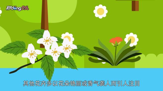 [图]称君子兰为“花中君子”？