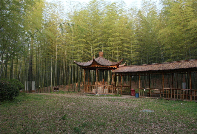 宜兴,一座人杰地灵之处,游一游龙背山公园