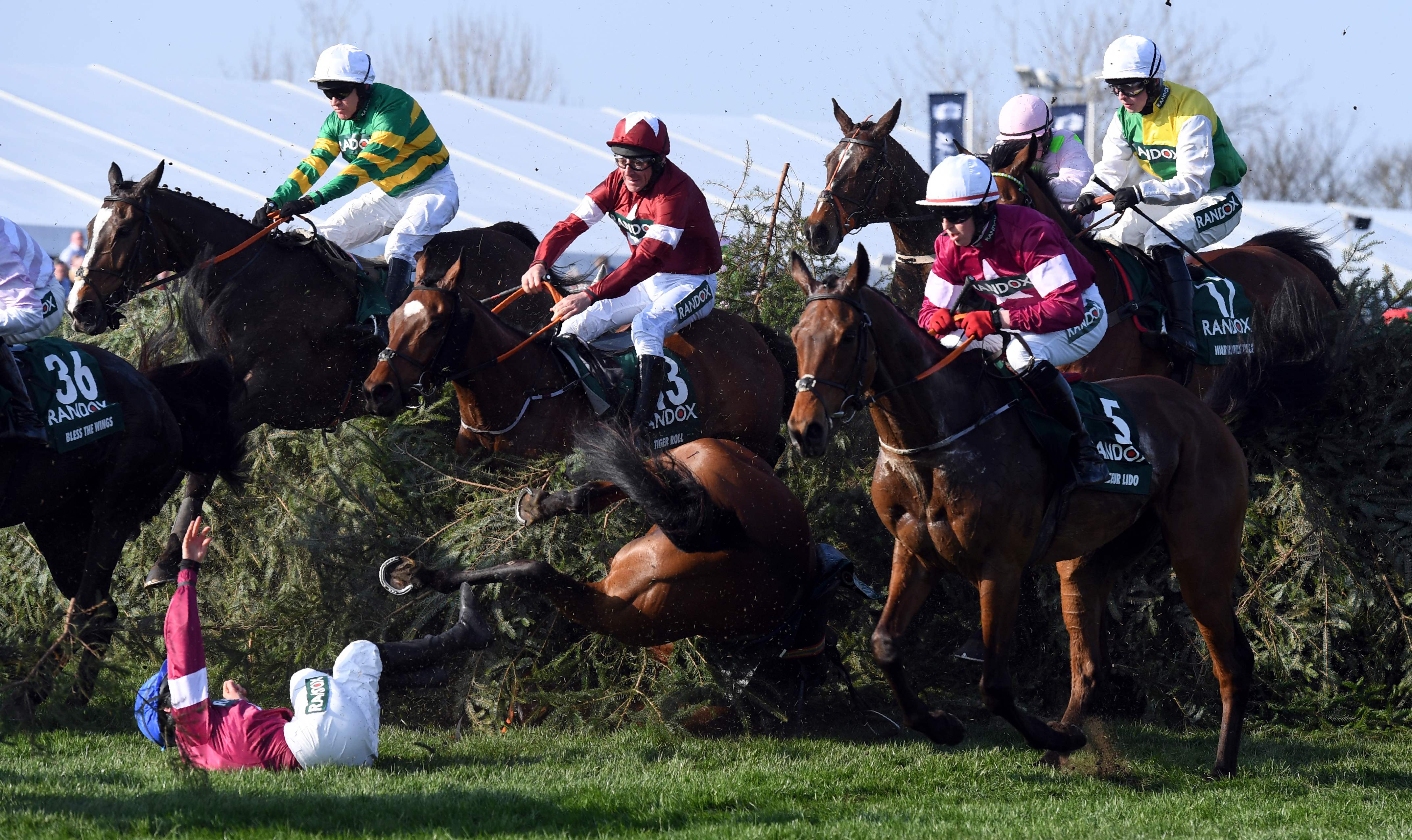 英国国家赛马节(32)