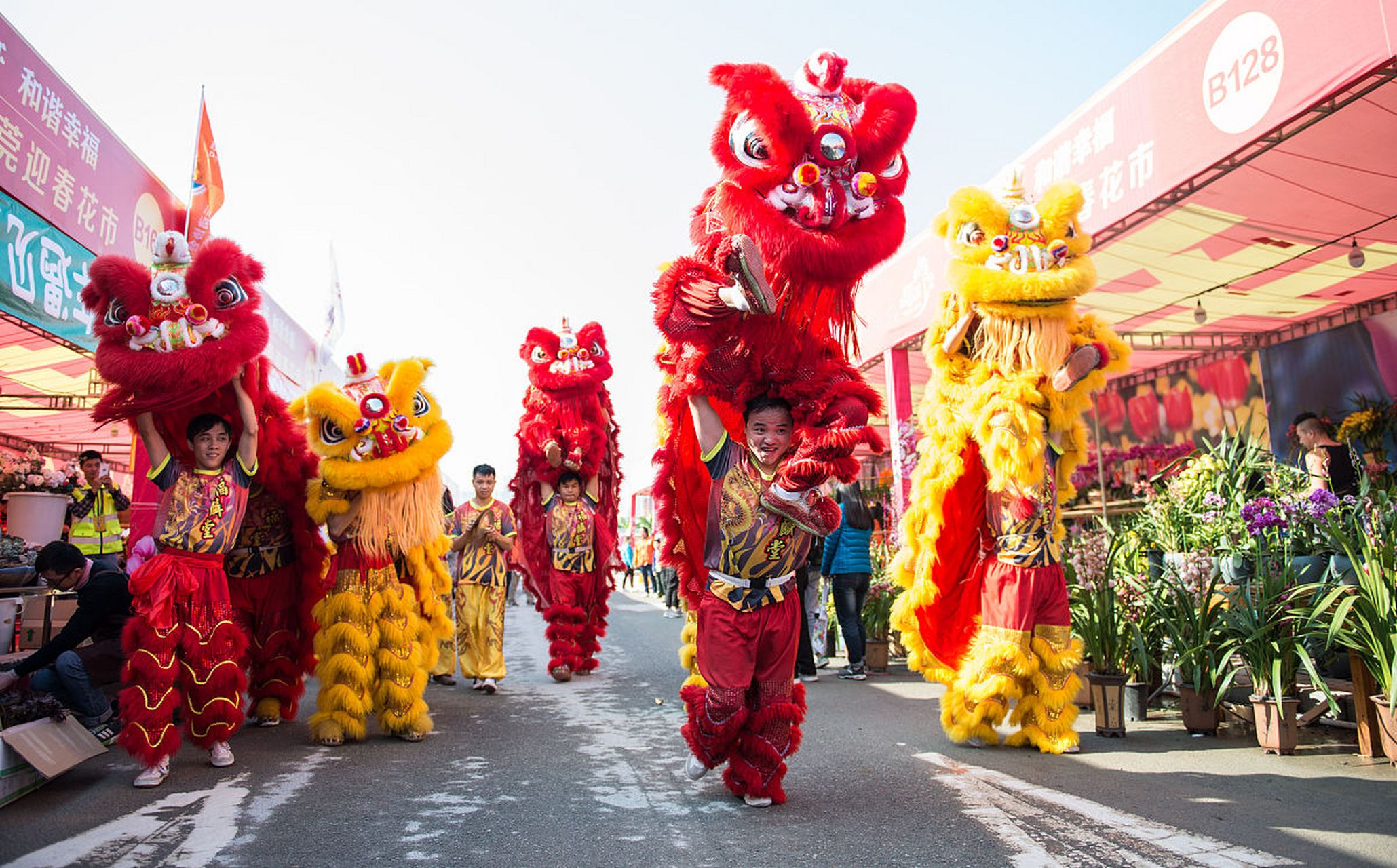 惠州舞狮表演158x8491x7692舞狮队开业舞狮婚礼乔迁舞狮门店舞狮暖场