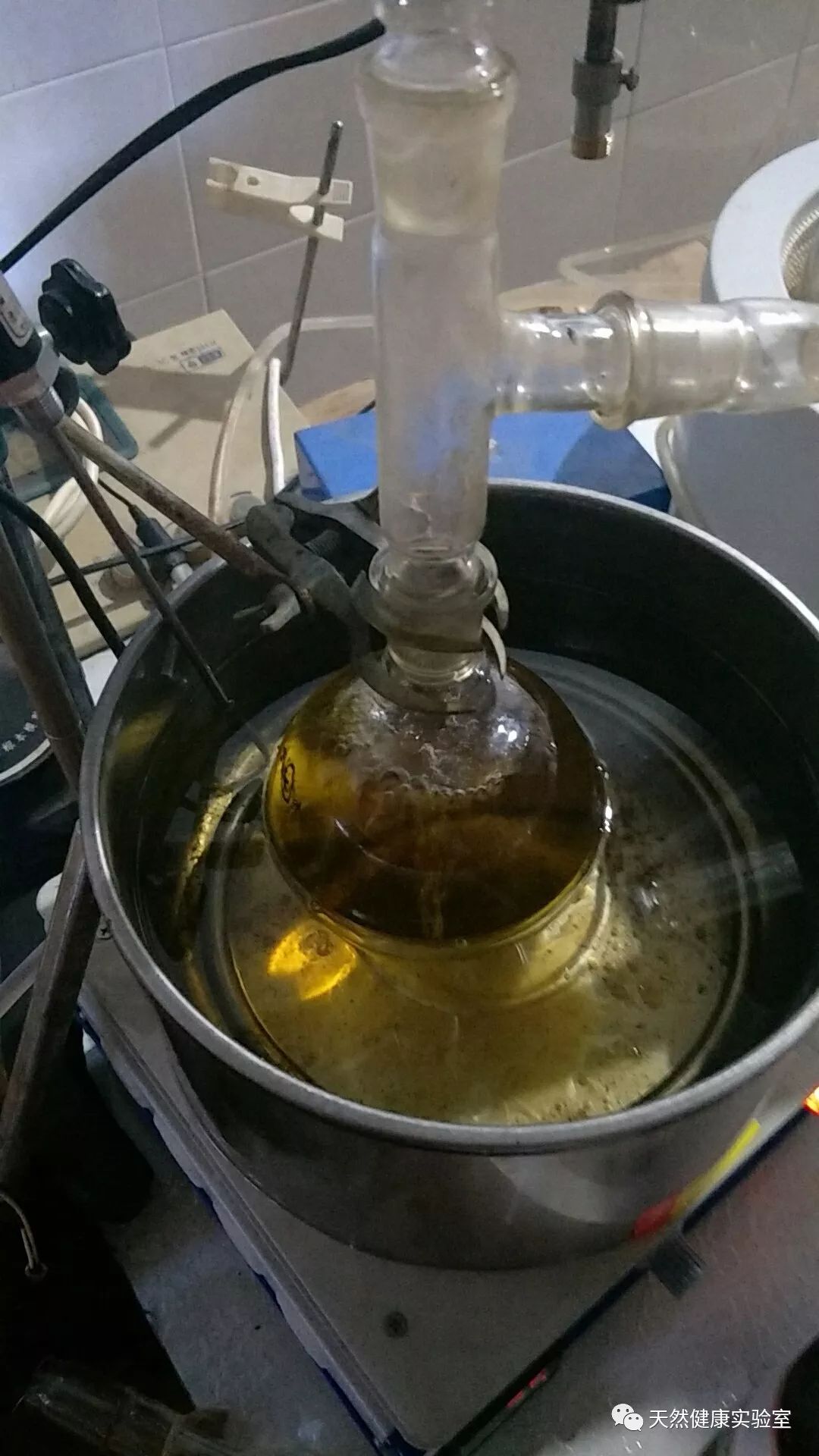 游离生物碱的提取方法