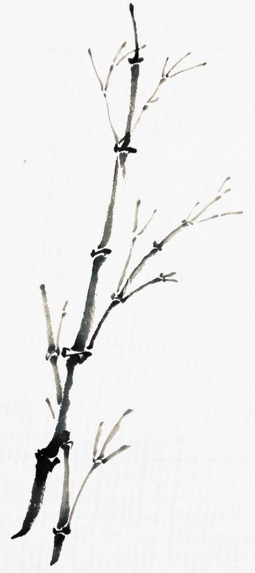 想画好竹子要了解竹枝的生枝方式!来学新,老,细干的生枝方式!