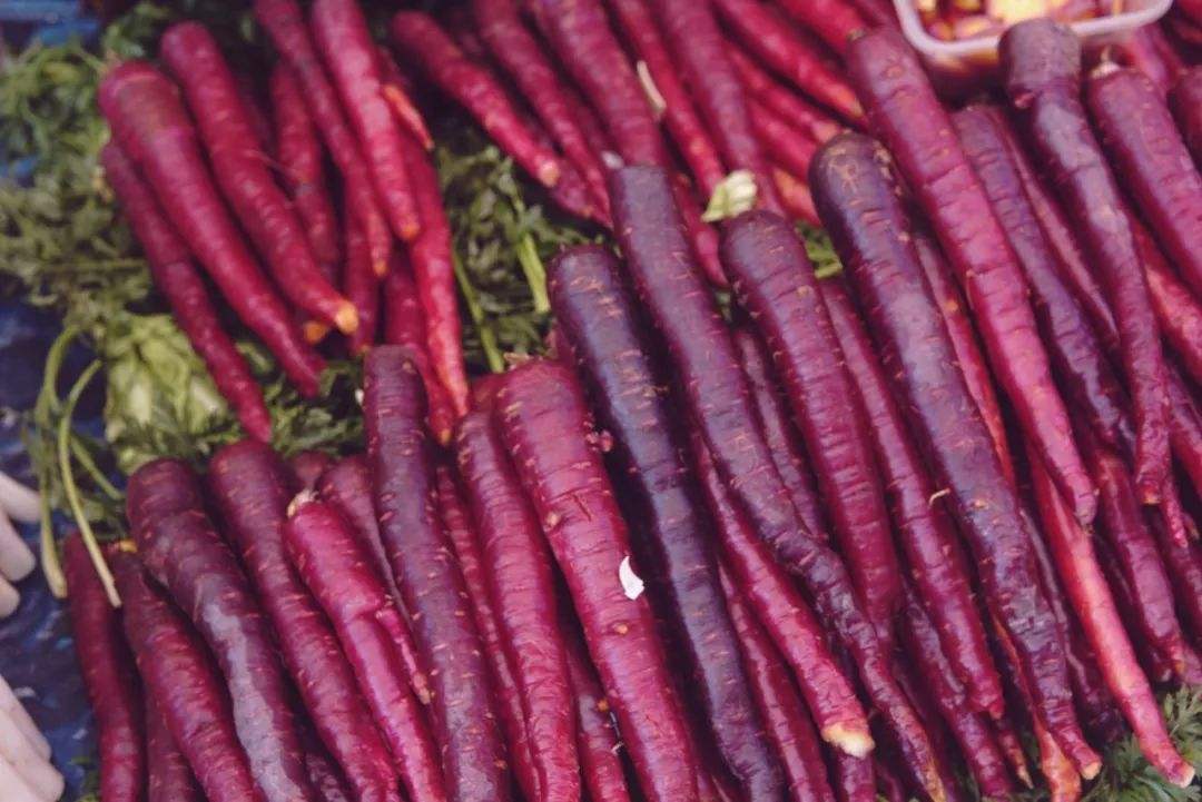 号称"蔬菜之王",亩产8000斤,受市场青睐,90后美女种它致富