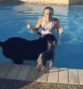 搞笑gif:刚给老婆买的香蕉,每一根都是这么的有创意!