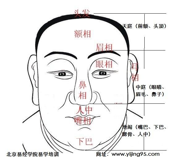 能够一夜暴富的面相特征,十分幸运,你有没有这几点特征?