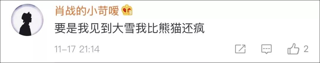 四川熊猫第一次见到大雪，突然疯狂摇摆，南方网友：仿佛看到自己