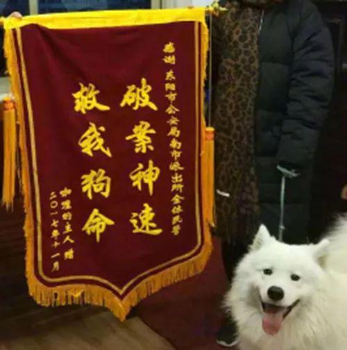 俩女生获救后给民警蜀黍送了锦旗……却让人哭笑不得