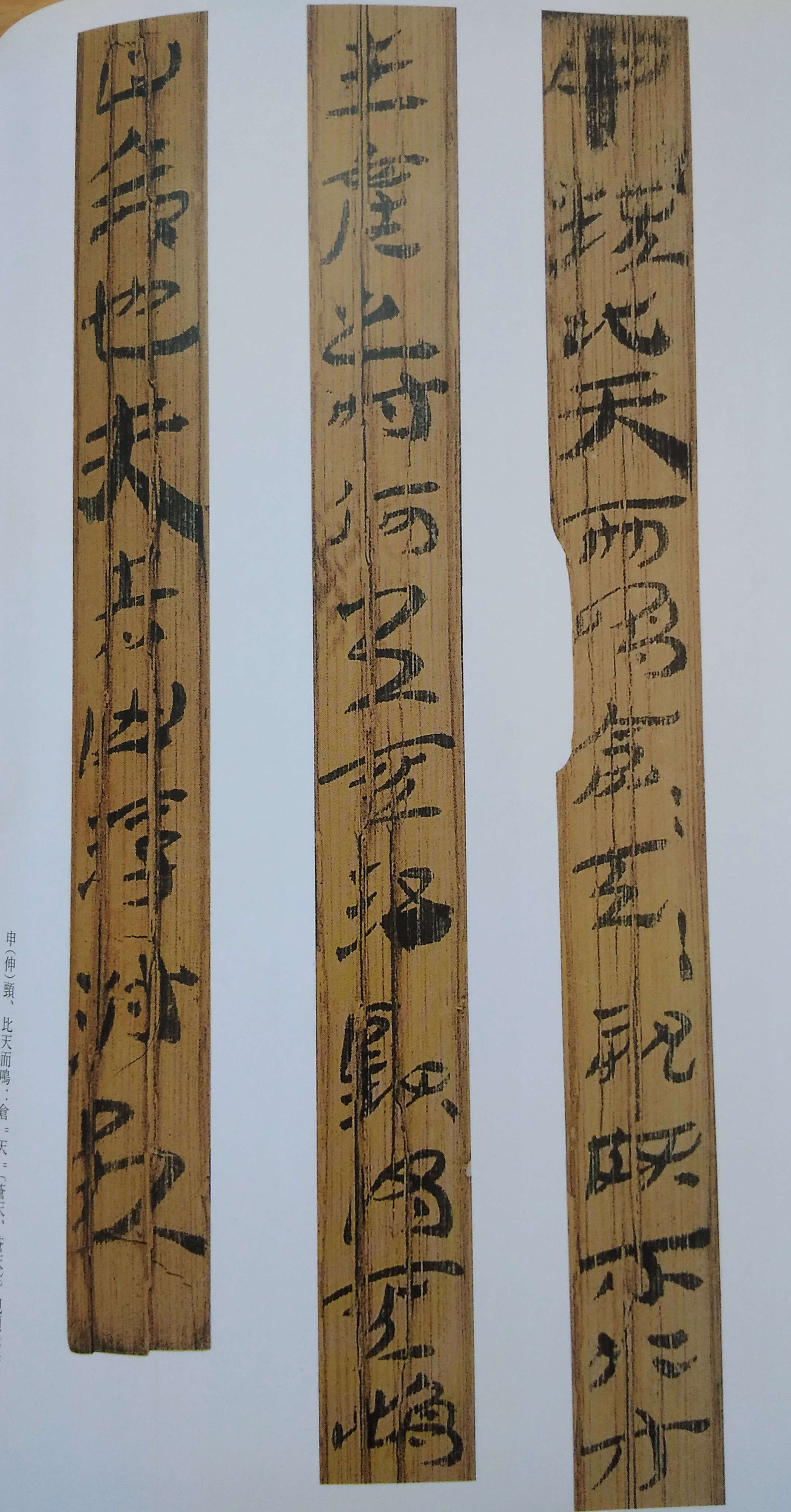 汉简--那些美丽的文字(饕餮盛宴高清大图百幅)