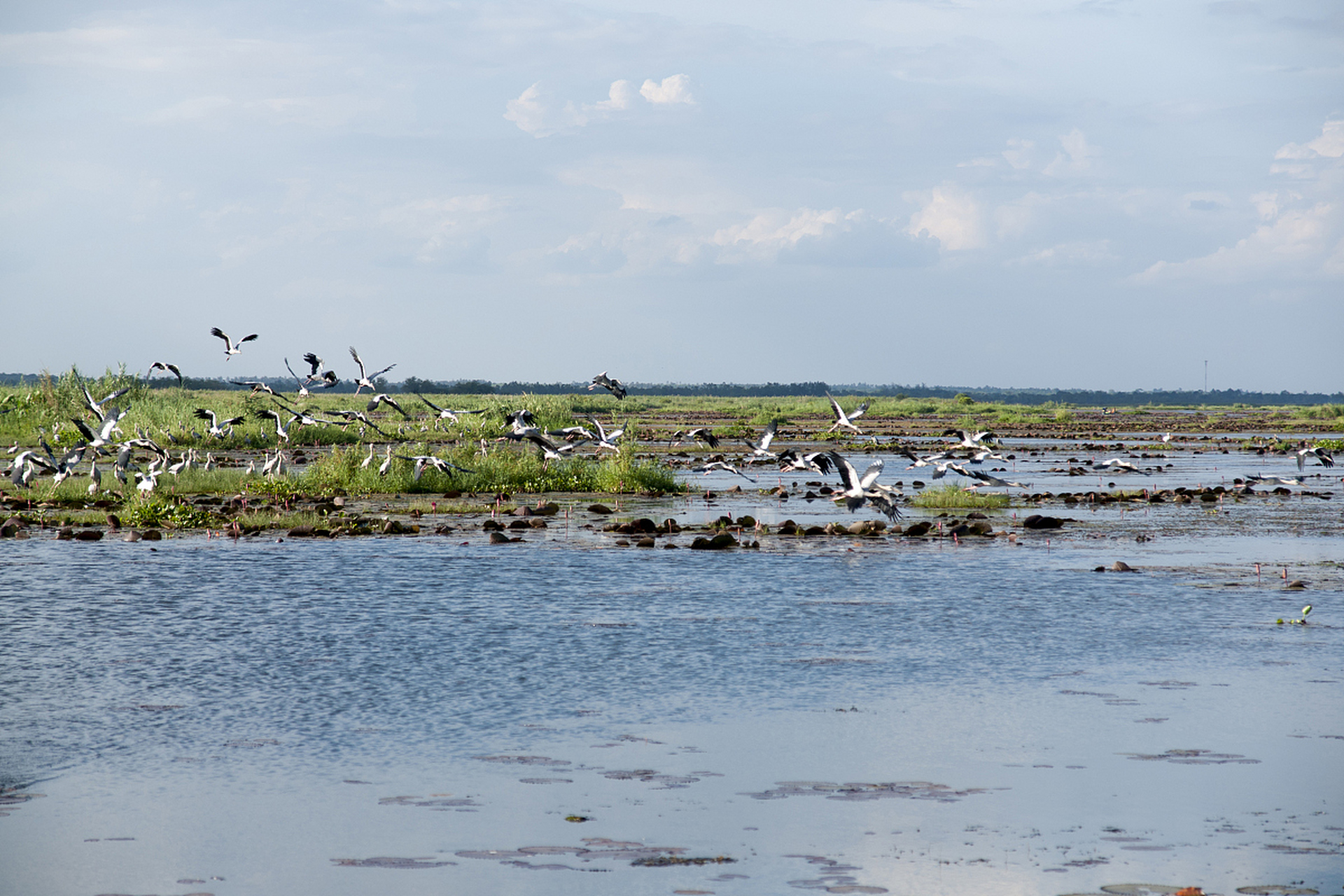 向海国家级自然保护区位于位于吉林省通榆县境内,向海原名"香海",国家