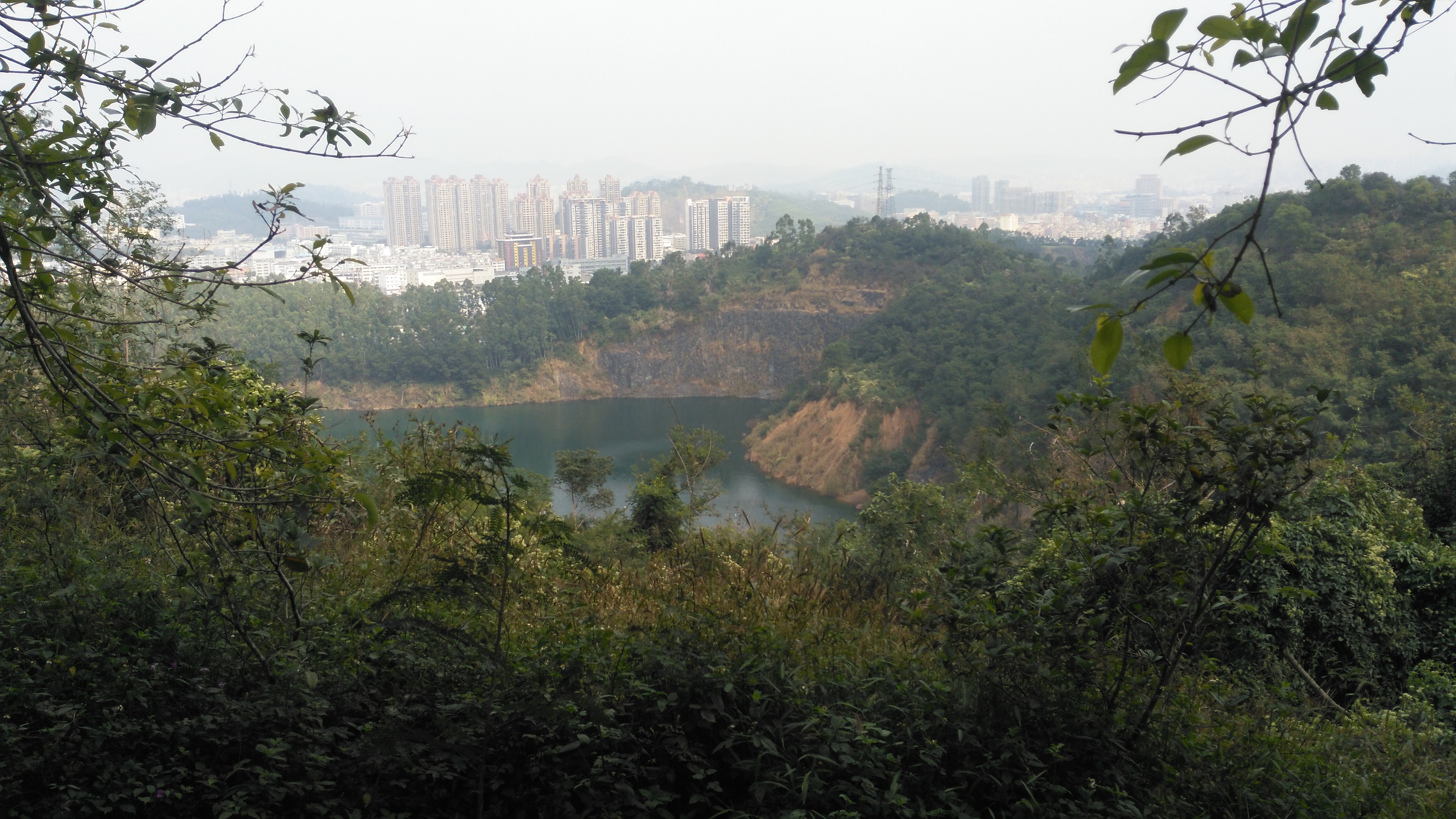 深圳平湖凤凰山图片