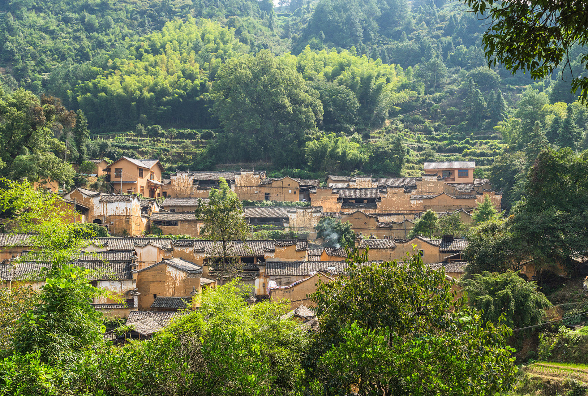 漫步在上坦村,你将感受到浓厚的江南风情,品味到传统文化的魅