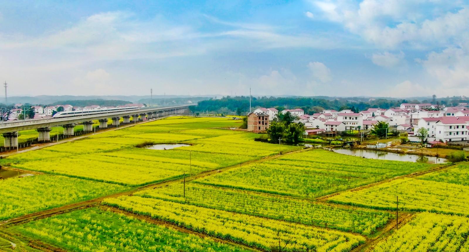 八斗村座落在万安县窑头镇南部,属湿润气候,典型的丘陵地形.