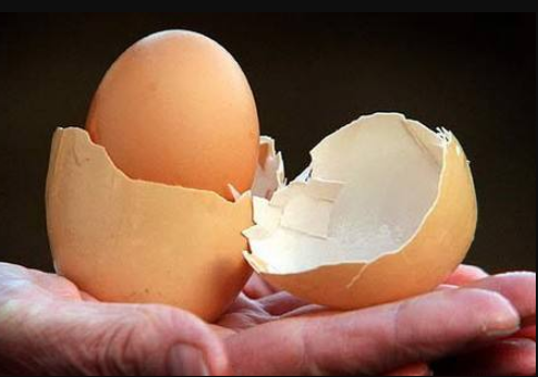 广东谚语"风吹鸡蛋壳,财散人安乐",是什么意思?有何讲究?