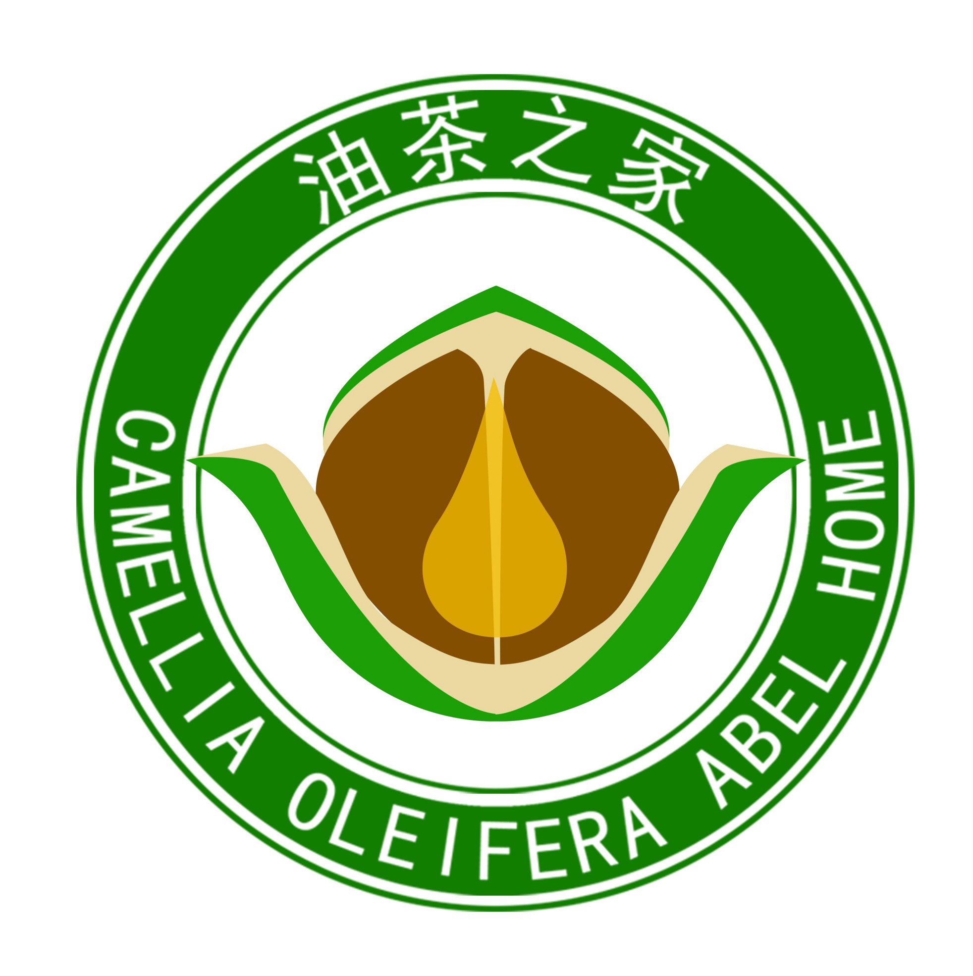 如何提高油茶苗成活率