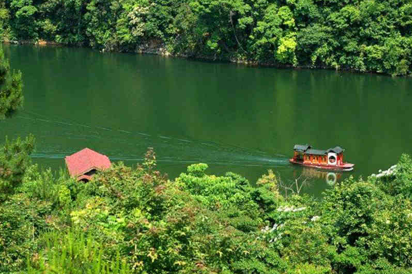 漳平九鹏溪景色优美,茶园随着山峦连绵起伏,景色十分迷人