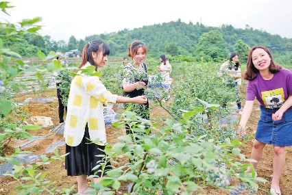 庄镇添彩乌江生态经济走廊