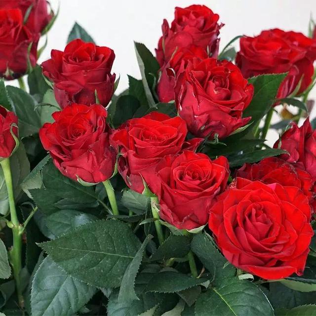 欢迎欢迎[玫瑰][玫瑰][玫瑰][玫瑰] - 2020年最新商品信息聚合专区