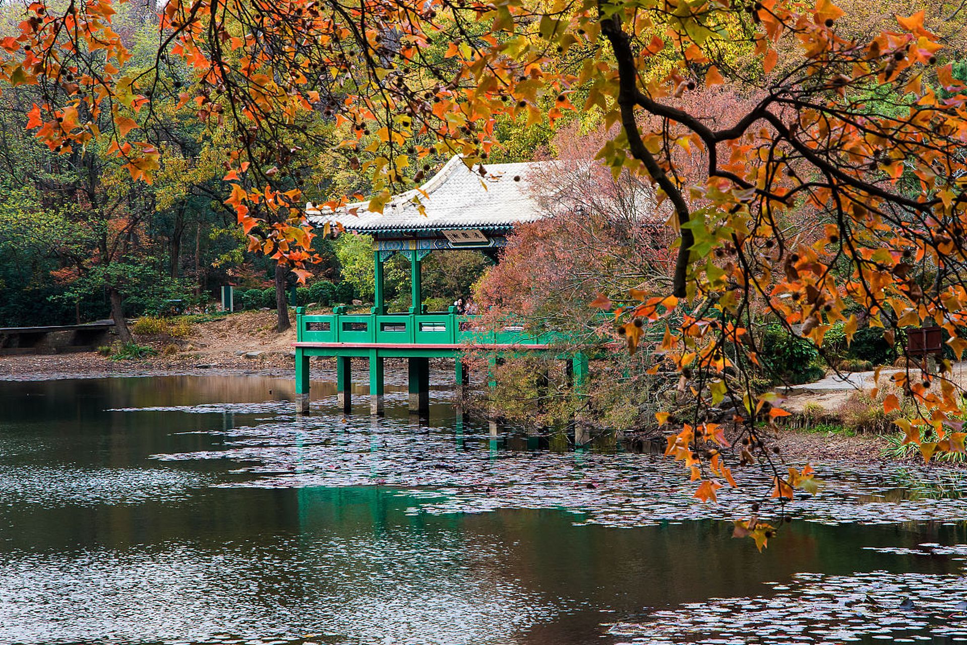 南京紫金山景区图片图片