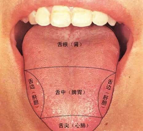 舌诊图谱大全!看看舌头就知道你哪病了!你也来学学