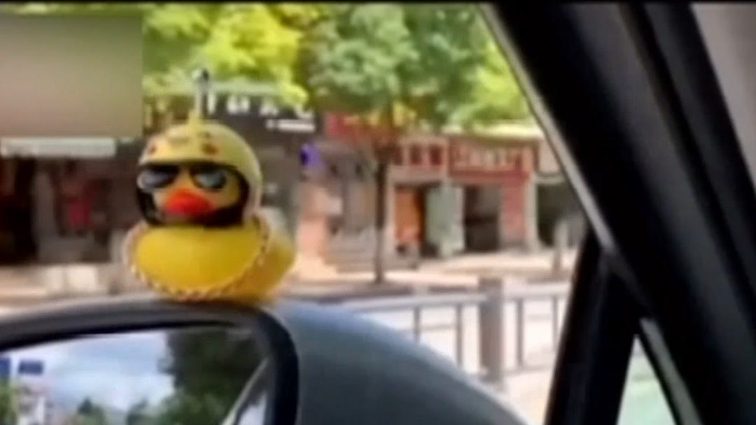 网红小黄鸭带着金链子坐上反光镜,真的很拉风?存在安全隐患