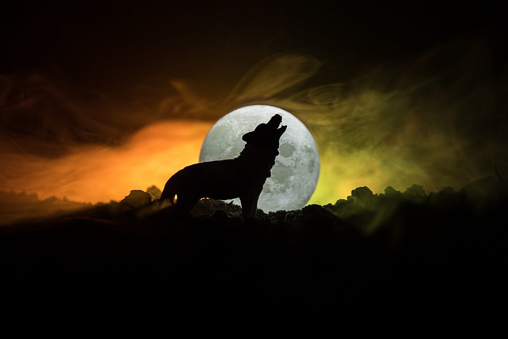 最便宜的好事是读书# ,推荐心中的好书《狼图腾》