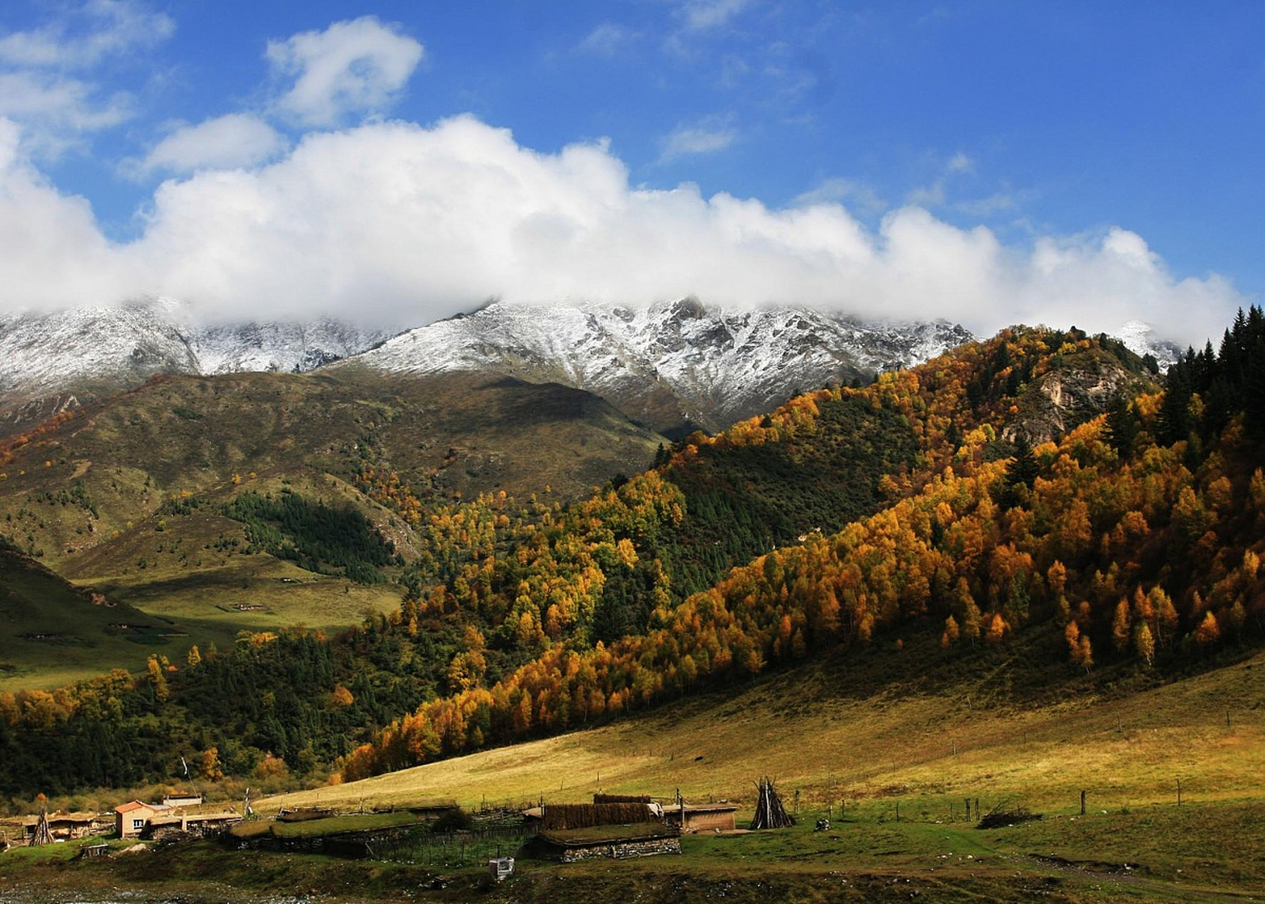秋天的祁连山五彩斑斓,美景如画,值得一游.