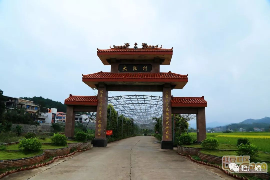 宾阳大陆村惊现"西天取经",现在正是观赏好时节!