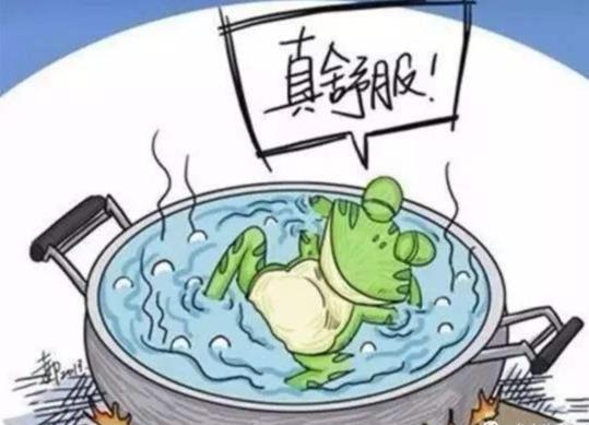 你需要的职场八大生存法则:自信心定律,青蛙法则,鸟笼效应