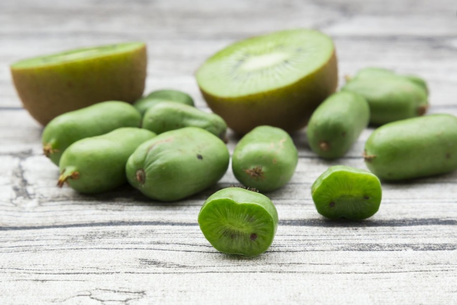 这水果外形像"枣",果肉像"花瓣",比蜂蜜还甜,在家就能种