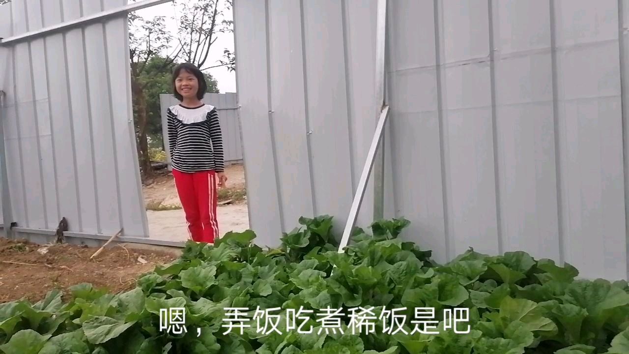 带你们看一下四川特色菜东汉菜做稀饭非常好吃