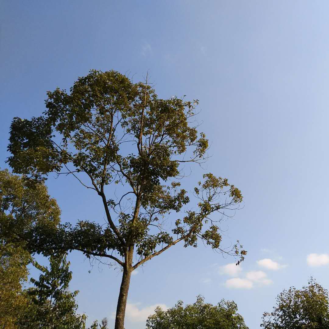 走着走着就散了时记得勇敢离开