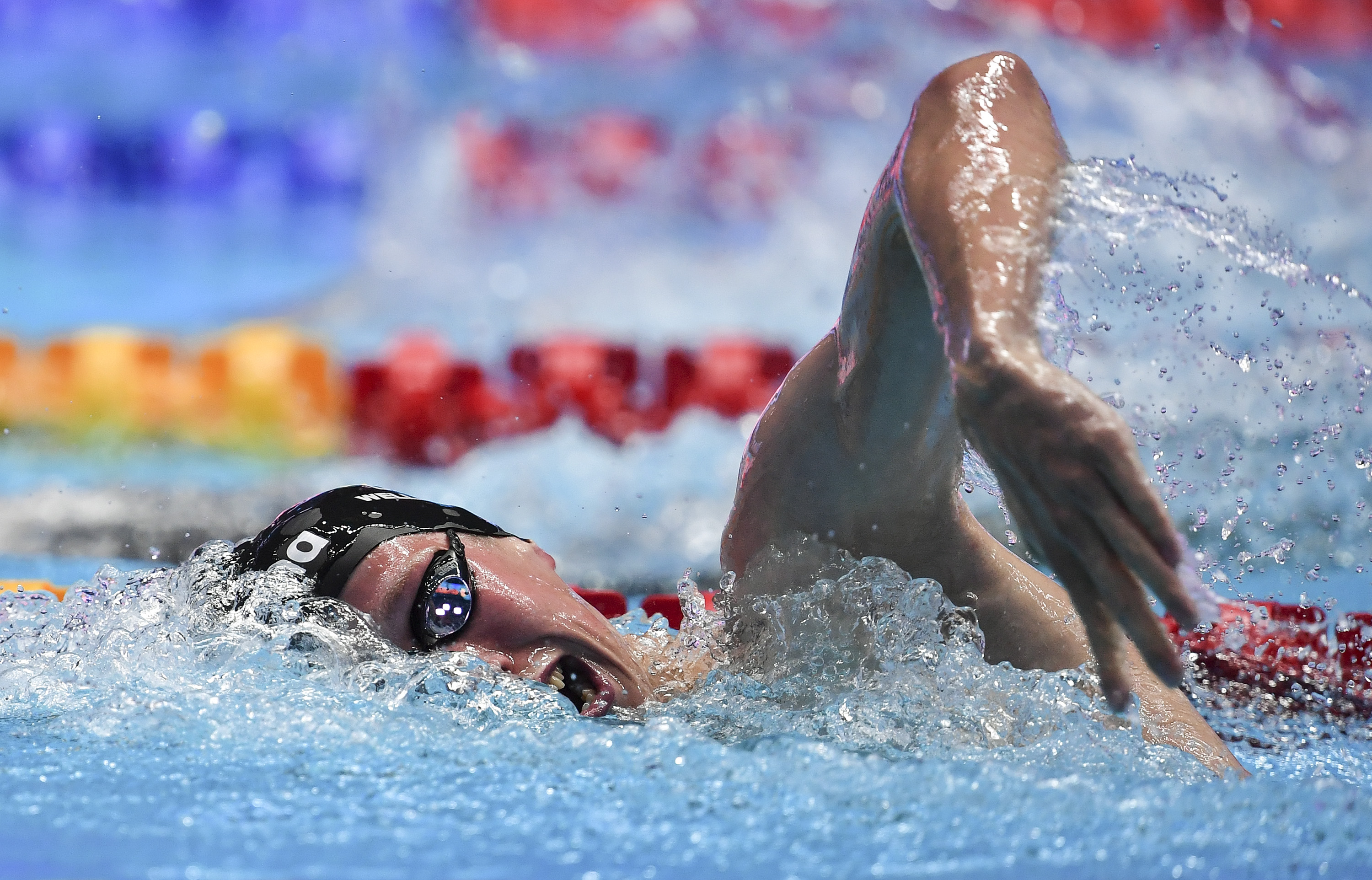 游泳——男子1500米自由泳:德国选手韦尔布罗克夺冠(2)