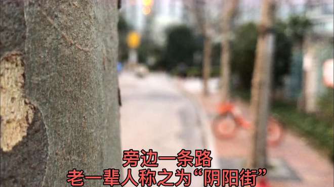 [图]实拍上海灵异传说之地 普陀公园那条诡异的阴阳街 曾经的滚地笼