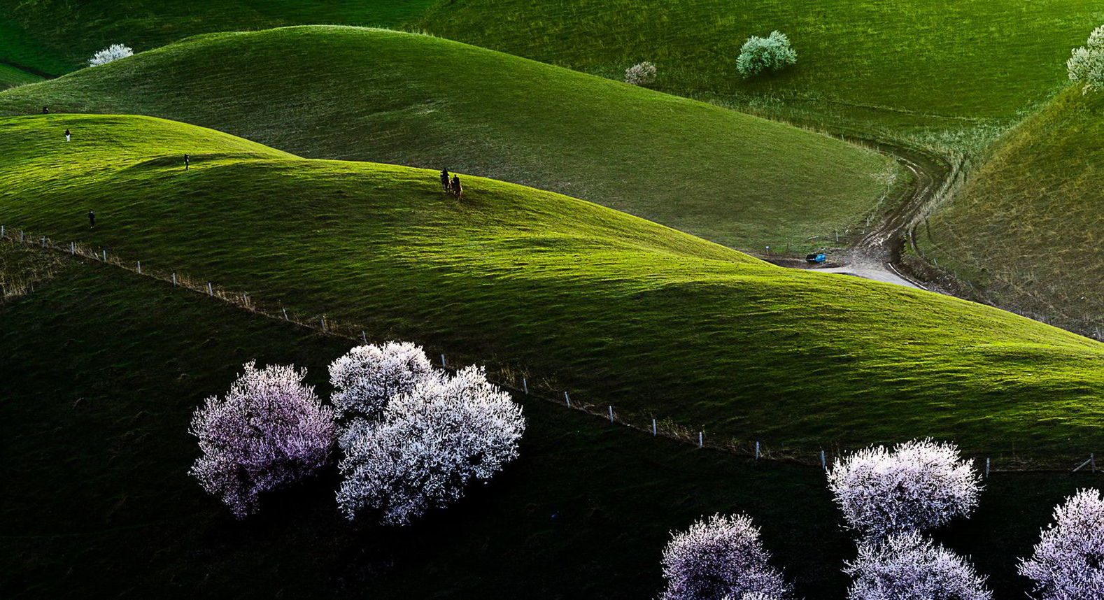 风光摄影:相约新疆那拉提杏花谷