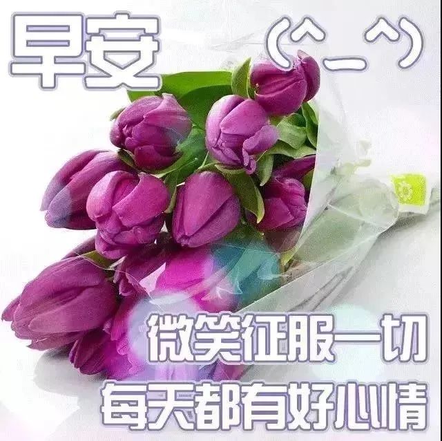 2020最新最有创意的早安问候表情图片,早安简短心情说说励志句子