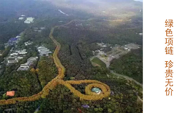 美龄宫全景俯瞰图