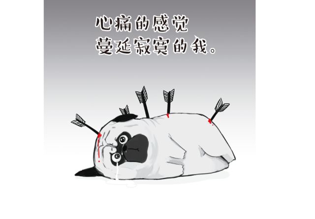 文末有惊喜|狗年必看!用它来测测你的新年腾飞指数