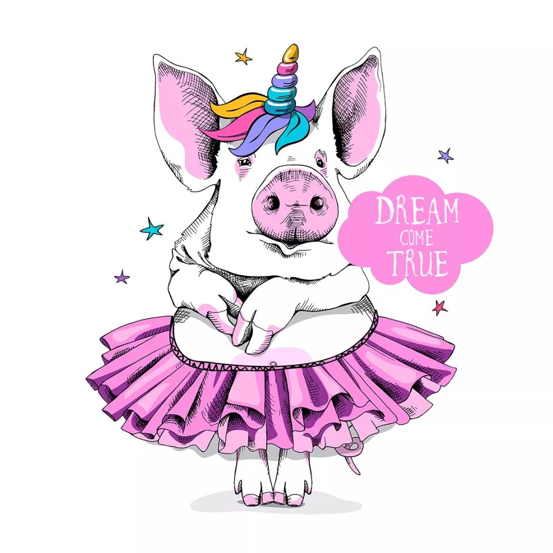 2019年萌宠来袭,精致的猪猪女孩们准备好了吗?