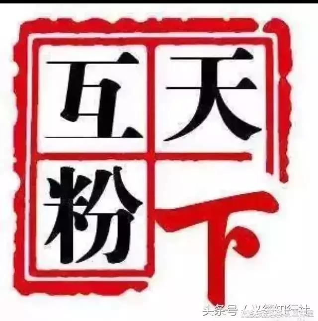 小白怎么靠互联网挣钱(2020怎么利用互联网挣钱)