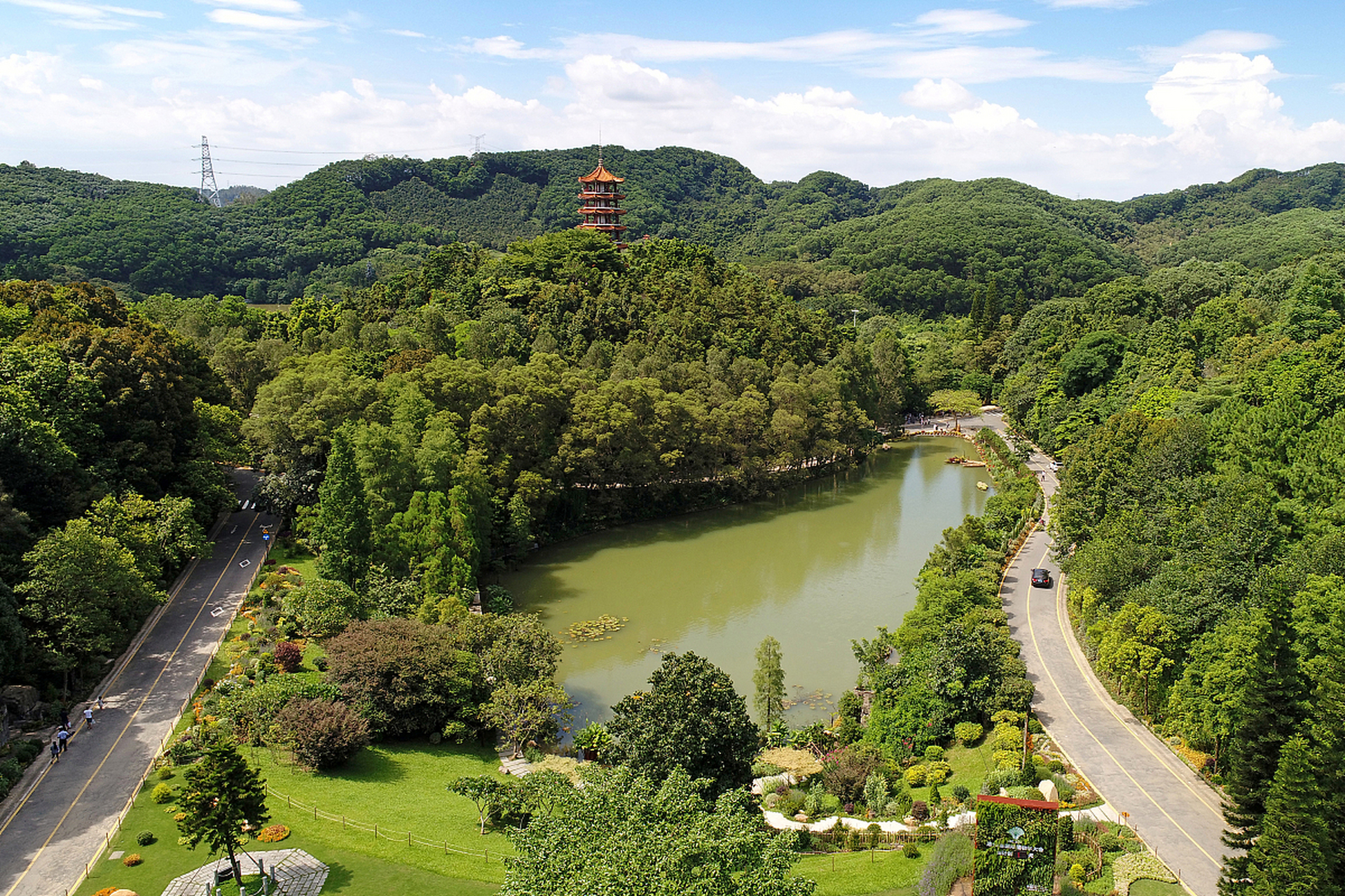 今天,我带着期待和激动的心情,终于踏上了三水森林公园之旅.