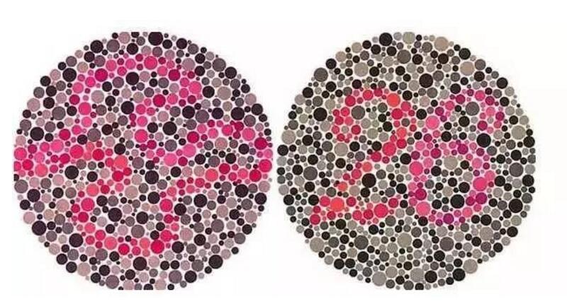 色盲测试:你能够看清图二中的"牛"吗?看不见,或许就是色盲了