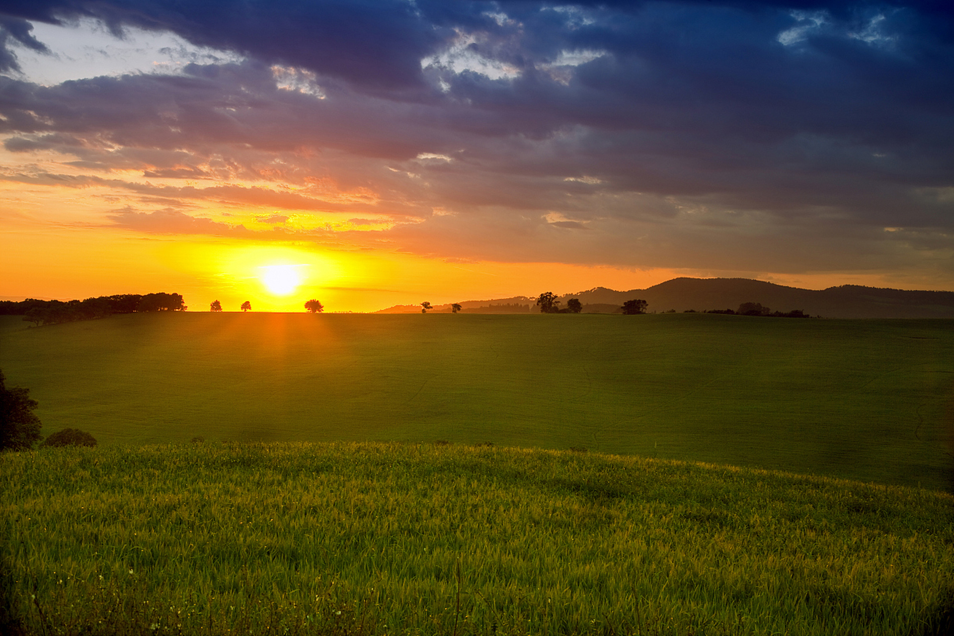 奔赴春天的旅行# 踏春傍晚时分,夕阳的余晖洒在草原上,金色的光芒与
