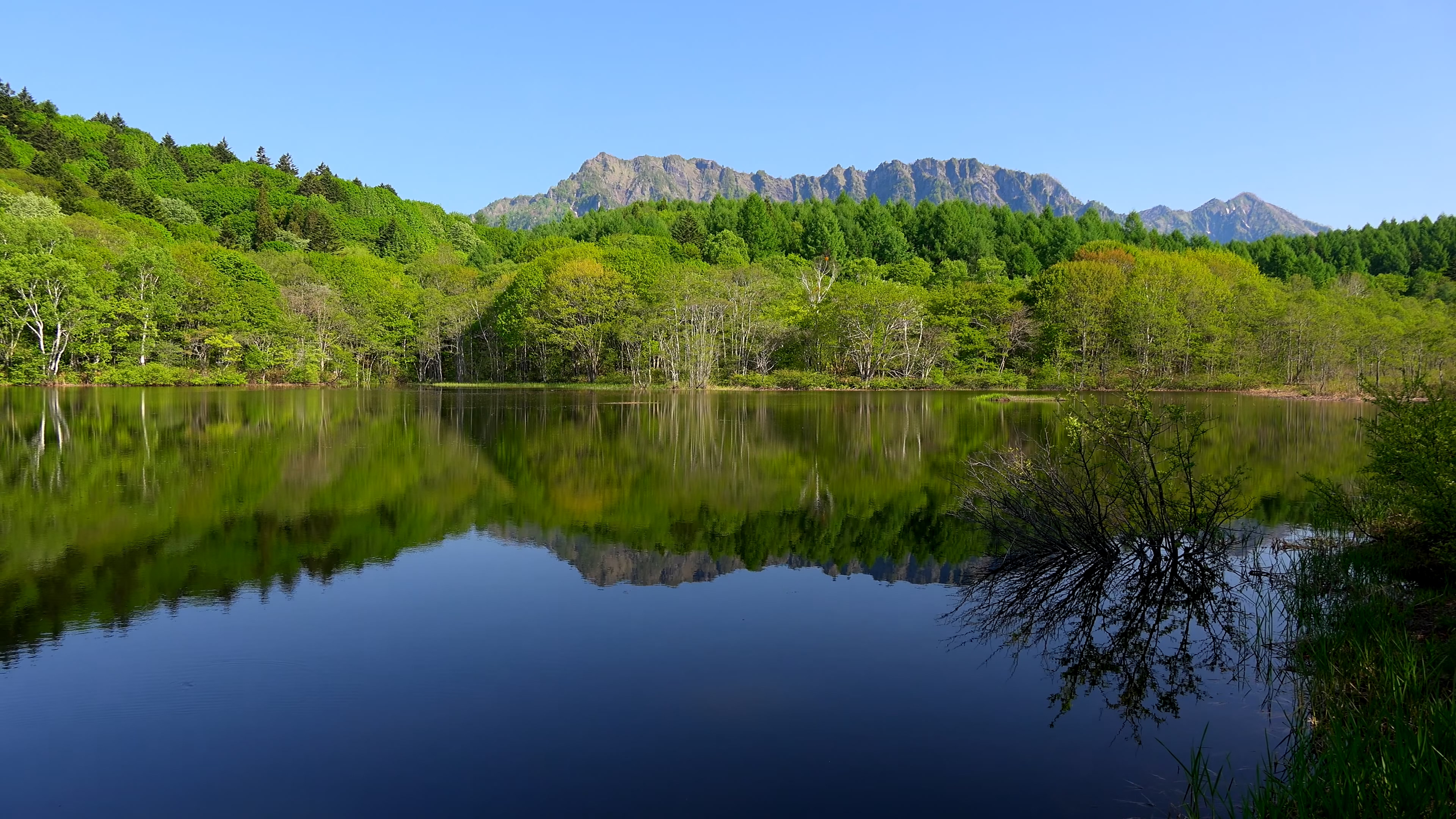 云雾缭绕的群山 转载自百家号作者:看看风景看看自然