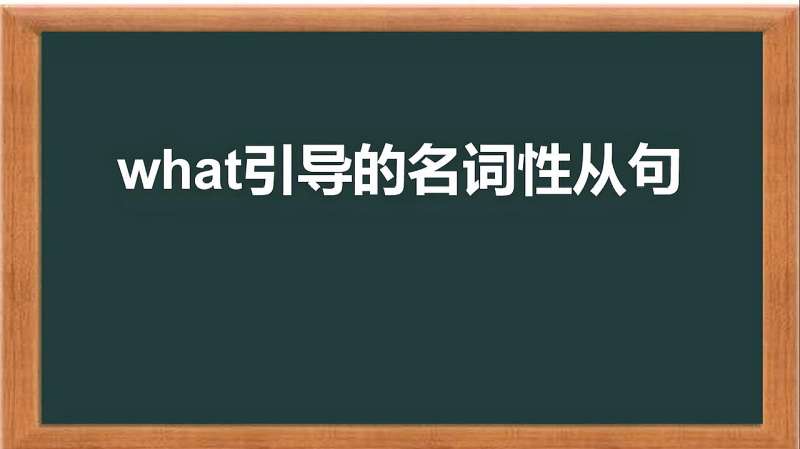 在what引导的名词性从句中,what有五种意思,你知道吗?