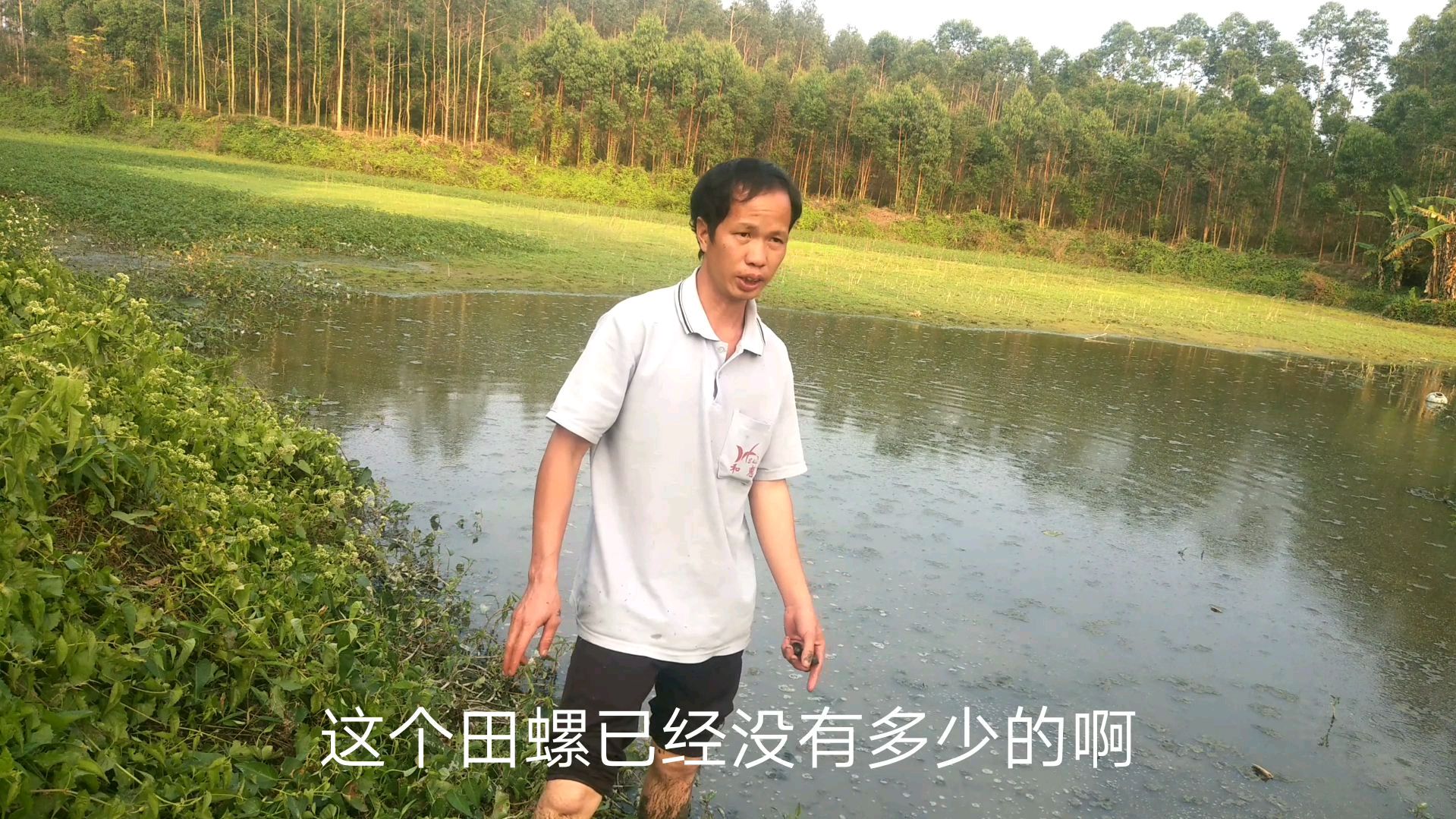 农村大叔准备在这个塘养鱼,想投放30万鱼,养这个塘角鱼