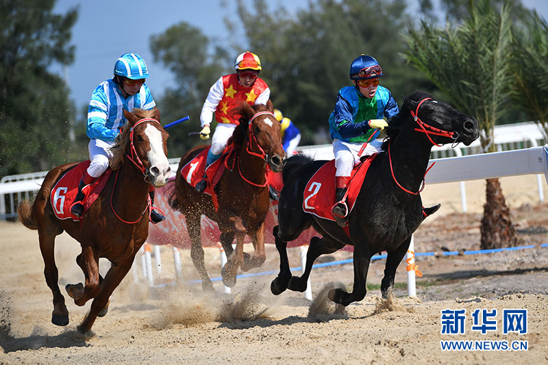 丰富春节期间文旅生活 文昌举行2019新春马术嘉年华