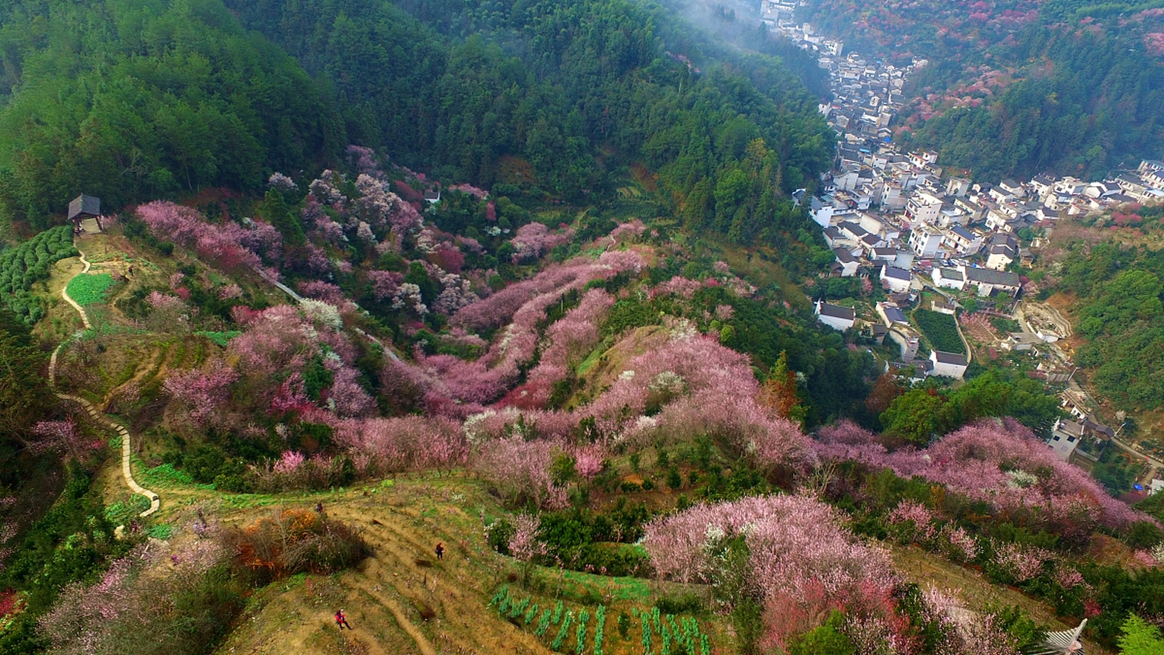 卖花渔村住宿图片