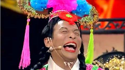 吐槽一下《新流星花园》里的名字,不是和东北四大天王一个意思吗