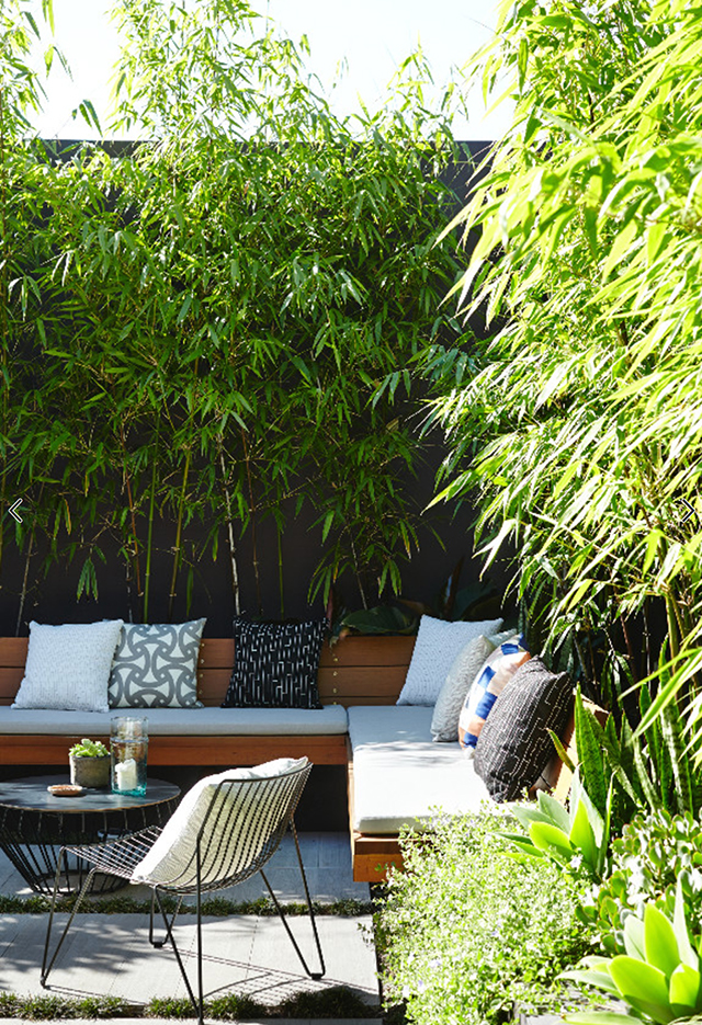 南方的庭院福利来了,用竹子做围墙的私家花园案例,竹子的大用处